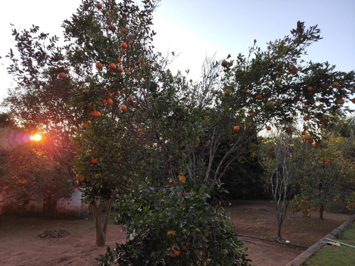 Casa De Campo Lazer Completo Paraiso De Reservas Naturais Em Sp Ibiúna Buitenkant foto
